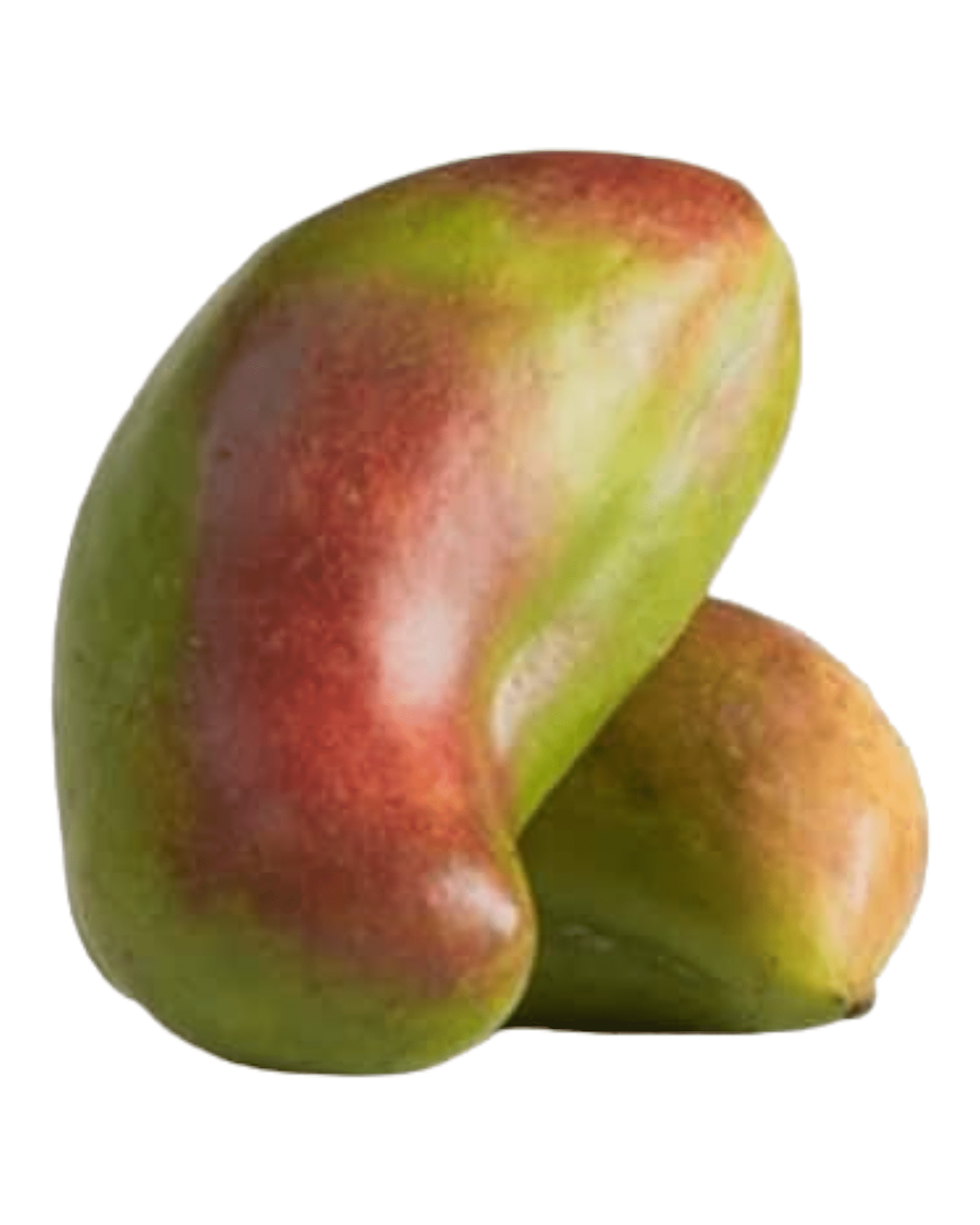 https://files.easy-orders.net/1724162270797452368.png