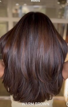 حماية الشعر من التلف