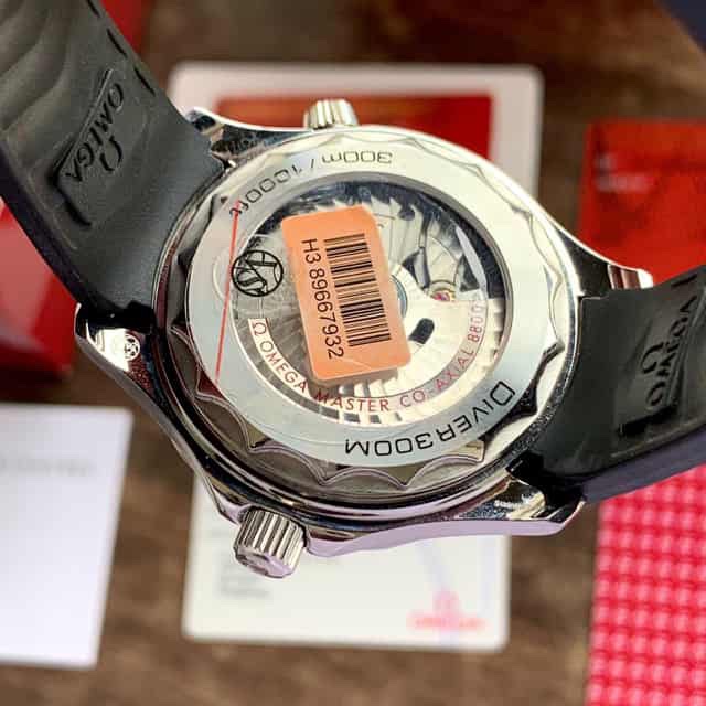 Seamaster Diver 300M 42 mm, steel on rubber strap master