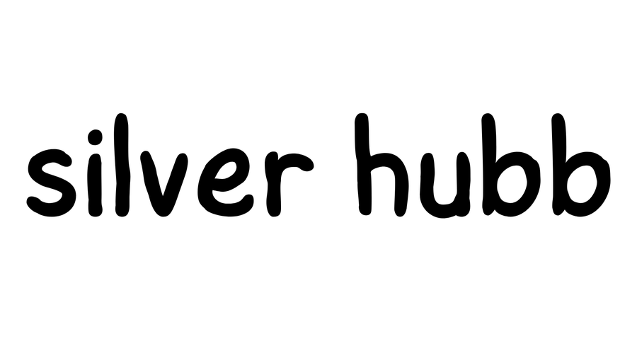 Silver hubb