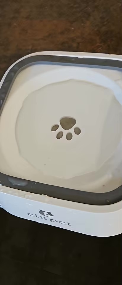 آية – الإسكندرية
