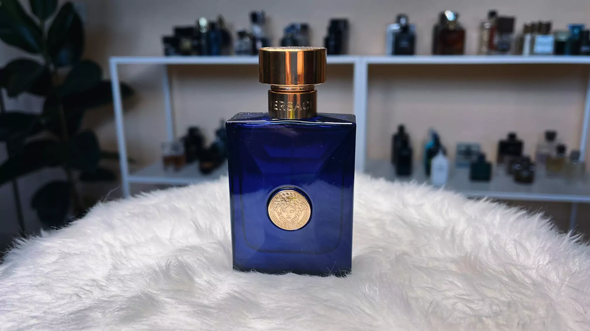 Versace Dylan Blue