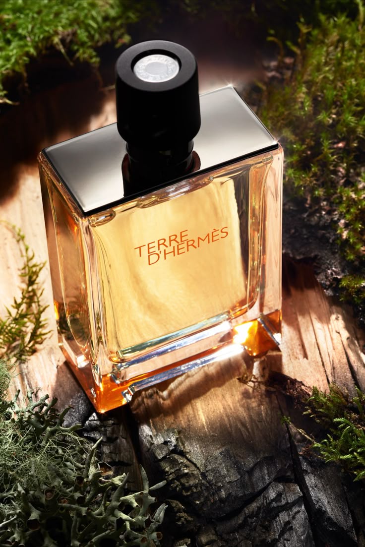 Hermès Terre d’Hermès