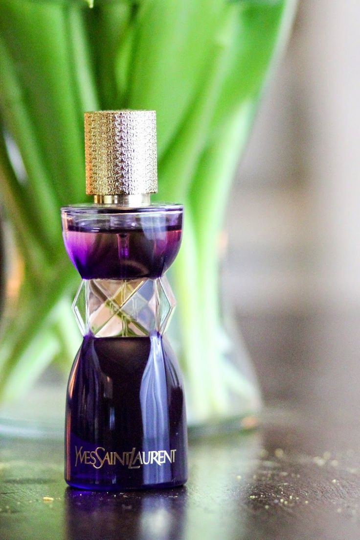 واي إس إل مانيفستو – YSL Manifesto