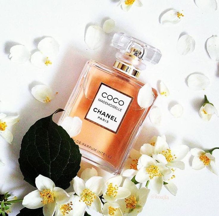 شانيل كوكو مادمازيل Chanel Coco Mademoiselle