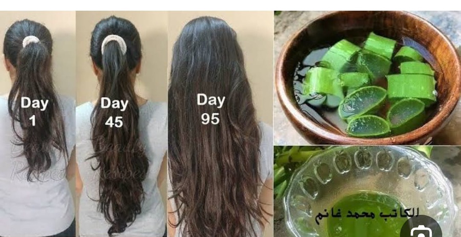 جيل صبار الكورى