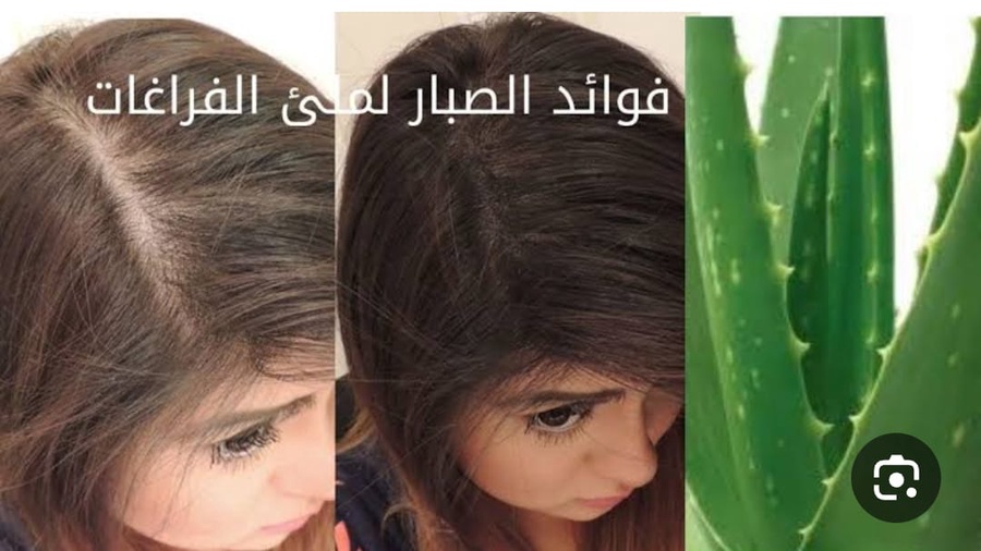 جيل صبار الكورى