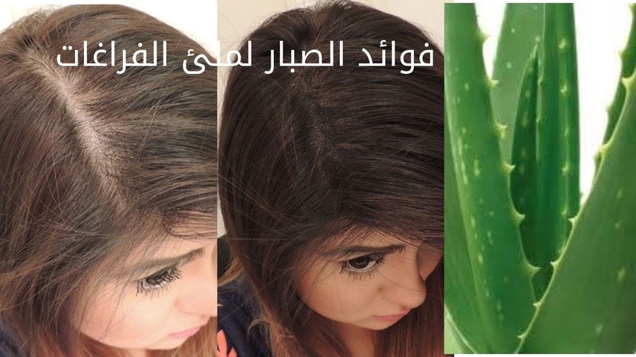 جيل صبار الكورى