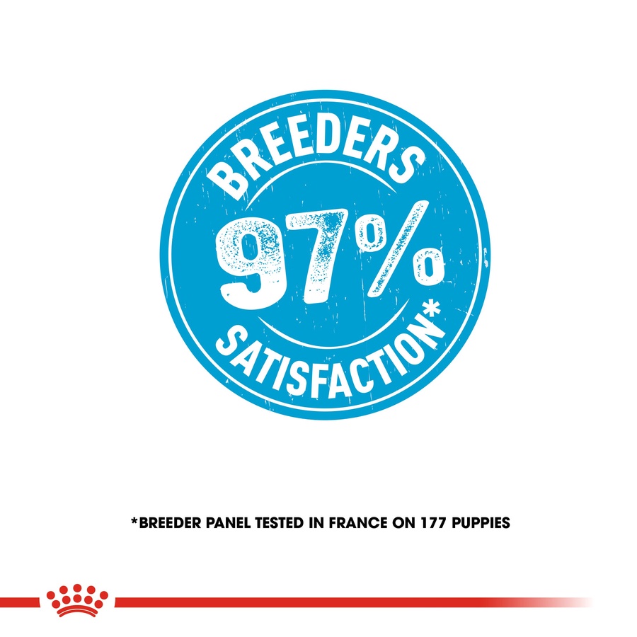 Royal Canin Mini Starter Mother & Babydog (1 KG) - Dry food for mini puppies. Adult weight up to 10 KG - Mother during gestation and lactation - Weaning puppies up to 2 months