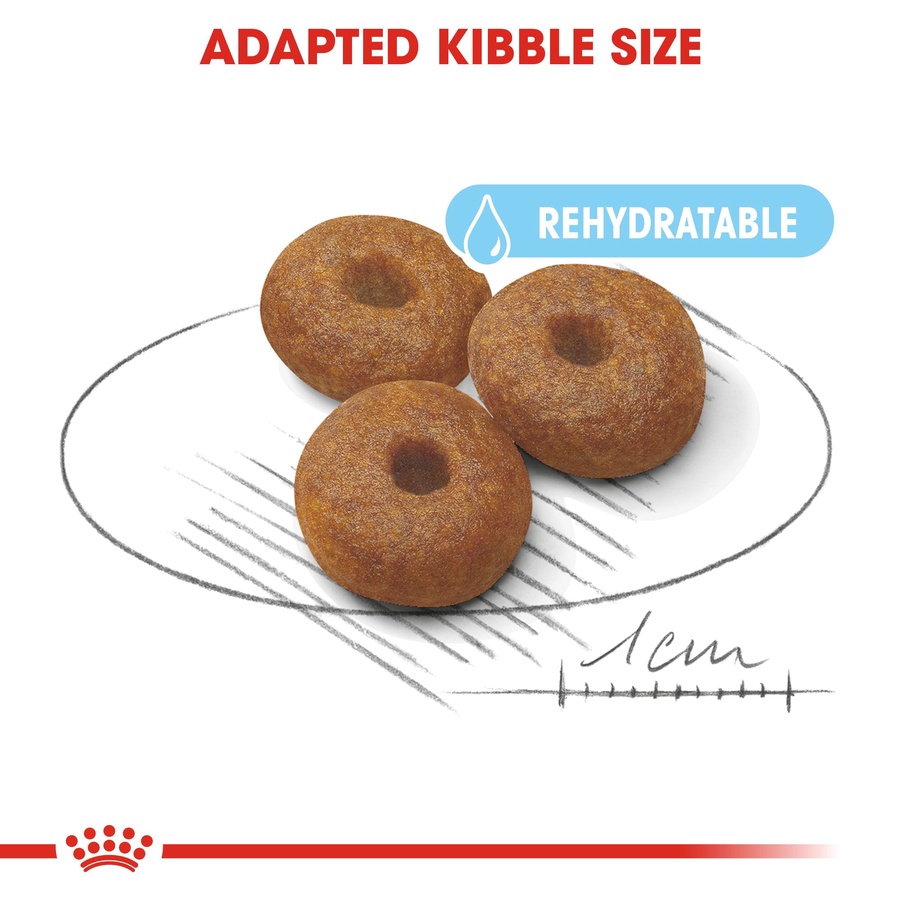 Royal Canin Maxi Starter Mother and Babydog (4 KG) - Dry food for large puppies - Adult weight between 26 and 44 KG. Mother during gestation and lactation - Weaning puppies up to 2 months