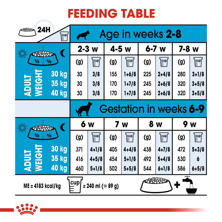 Royal Canin Maxi Starter Mother and Babydog (4 KG) - Dry food for large puppies - Adult weight between 26 and 44 KG. Mother during gestation and lactation - Weaning puppies up to 2 months