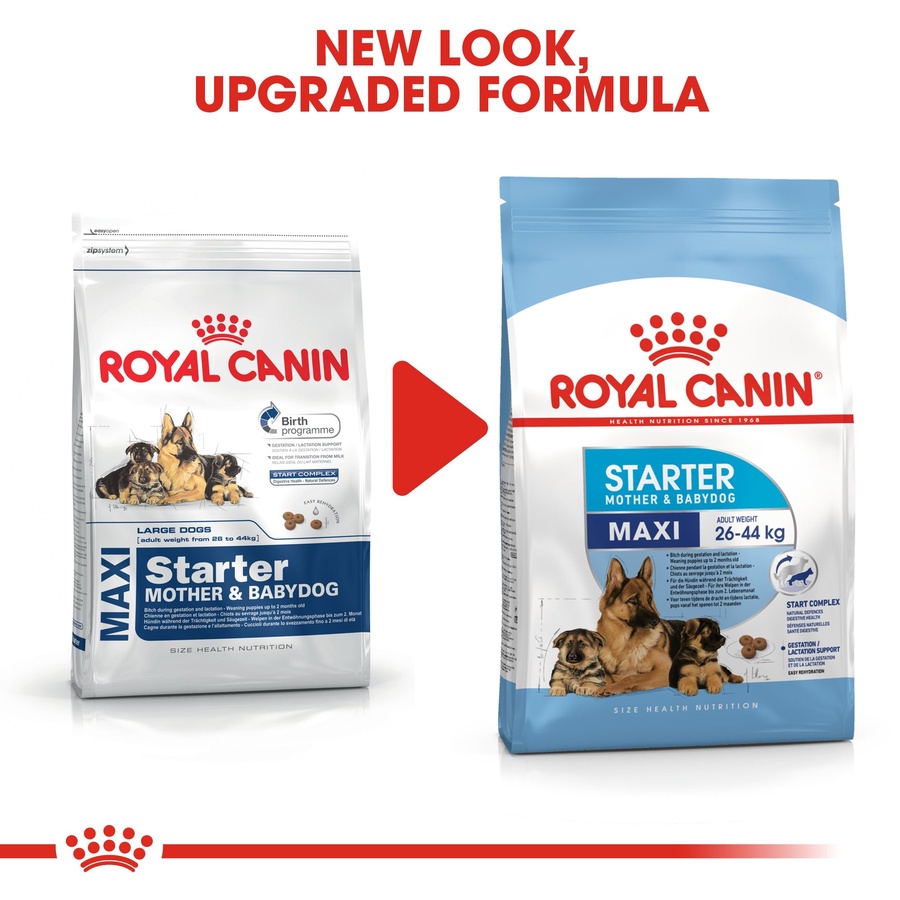 Royal Canin Maxi Starter Mother and Babydog (4 KG) - Dry food for large puppies - Adult weight between 26 and 44 KG. Mother during gestation and lactation - Weaning puppies up to 2 months