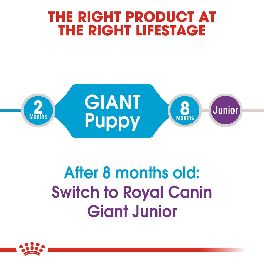 Royal Canin Giant Puppy (3.5 KG) - Dry food for giant dogs. Adult weight from 45 KG and over - from 2 to 8 months old
