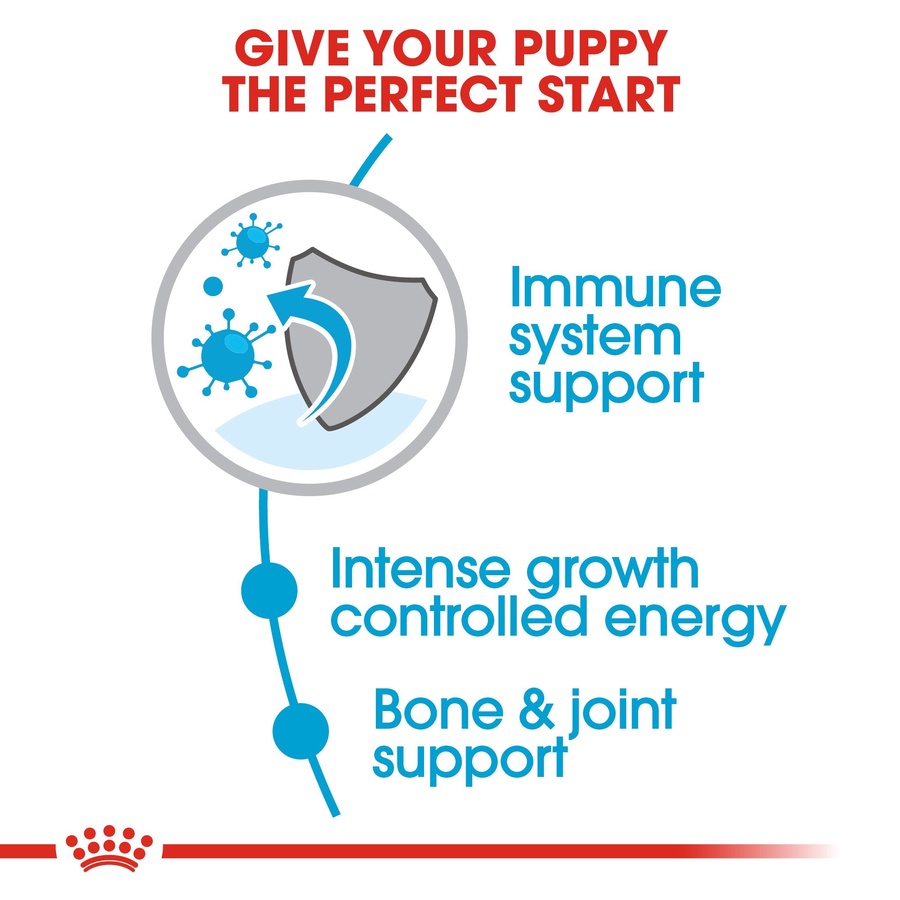 Royal Canin Giant Puppy (3.5 KG) - Dry food for giant dogs. Adult weight from 45 KG and over - from 2 to 8 months old