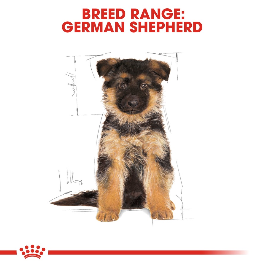 Royal Canin German Shepherd Puppy (3 KG) - Dry food for puppies up to 15 months