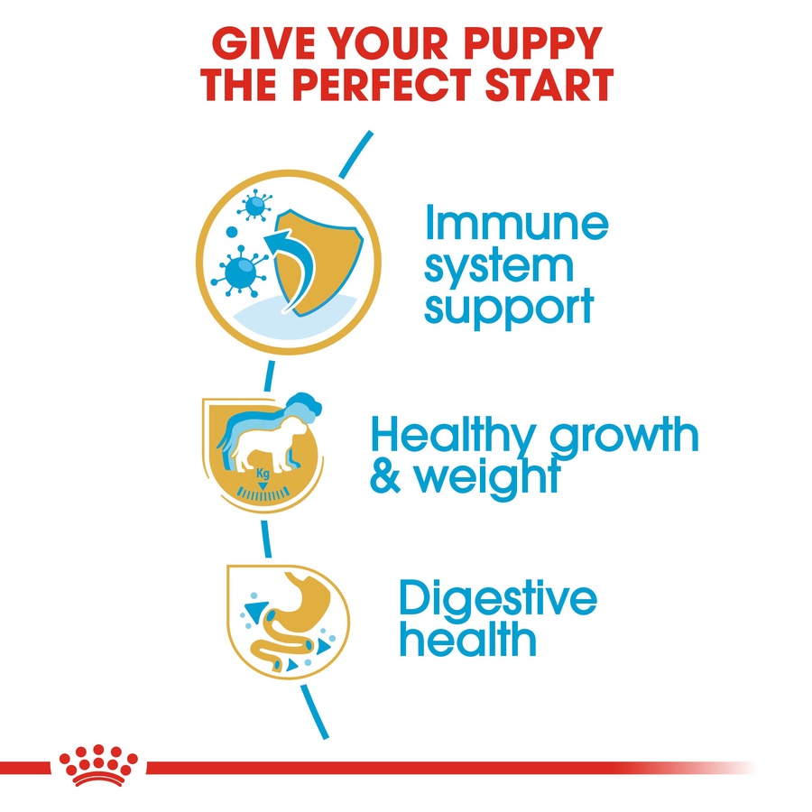 Royal Canin Labrador Retriever Puppy (3 KG) - Dry food for puppies up to 15 months