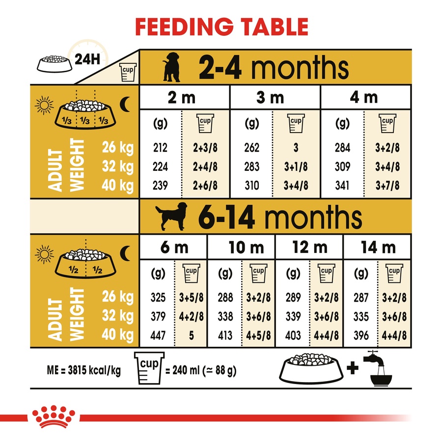 Royal Canin Labrador Retriever Puppy (3 KG) - Dry food for puppies up to 15 months