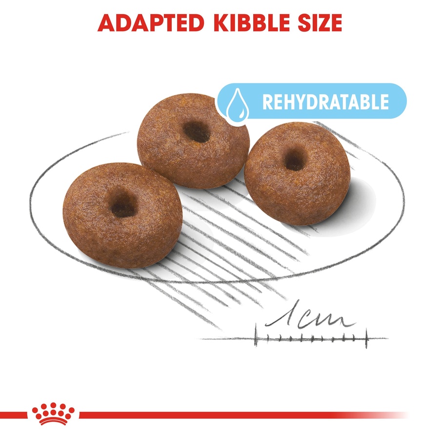 Royal Canin Giant Starter Mother & Babydog (4 KG) - Dry food for giant puppies. Adult weight from 45 KG and over - Mother during gestation and lactation - Weaning puppies up to 2 months