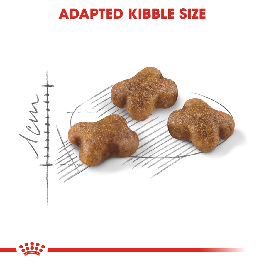 Royal Canin Second age kitten (10 KG) - Kitten up to 12 months