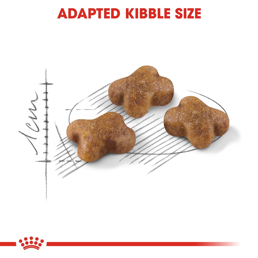 Royal Canin Kitten (2KG) up to 12 months