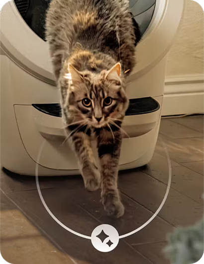 جاهزة للاستخدام في دقائق