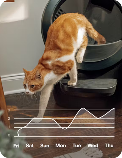 تعليم ممتع وفعال