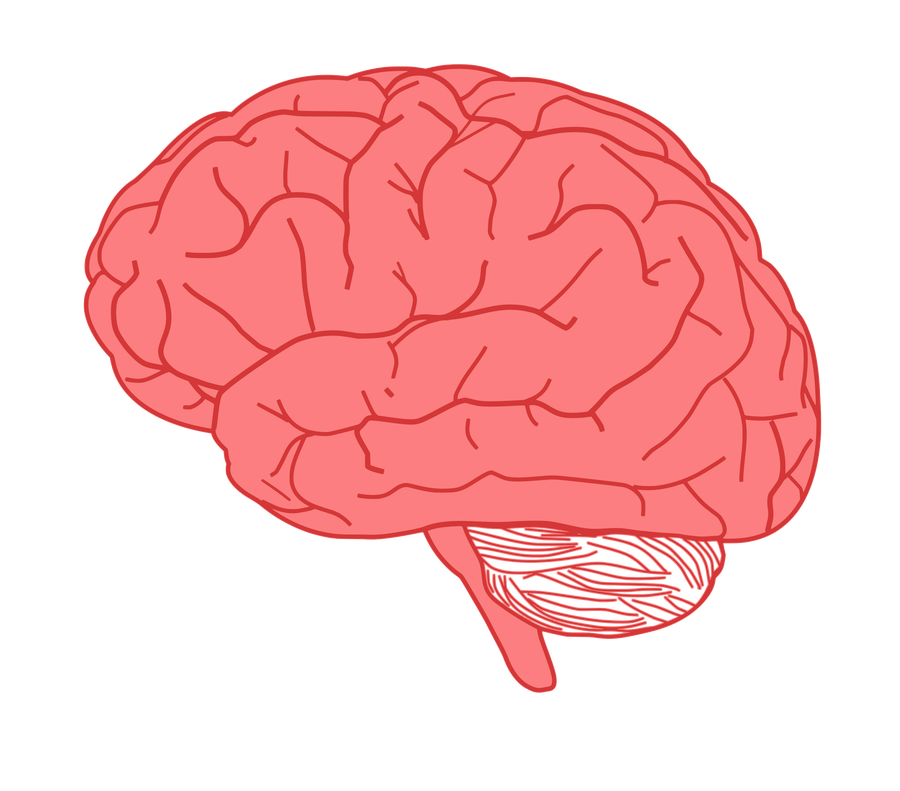 تحسين التركيز والذاكرة