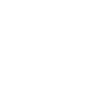 شحن سريع ومضمون