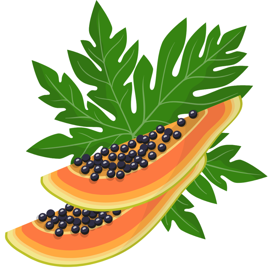 مستخلص البابايا