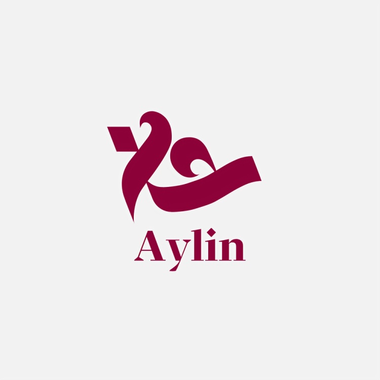 Aylin-store