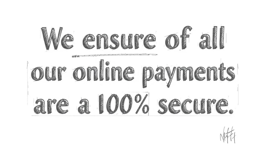 Online Payments are a 100% Secure