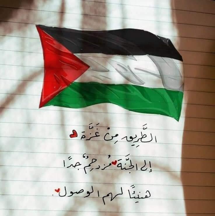 Mohamed Shabaan