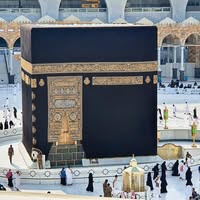 المهندس محمود احمد