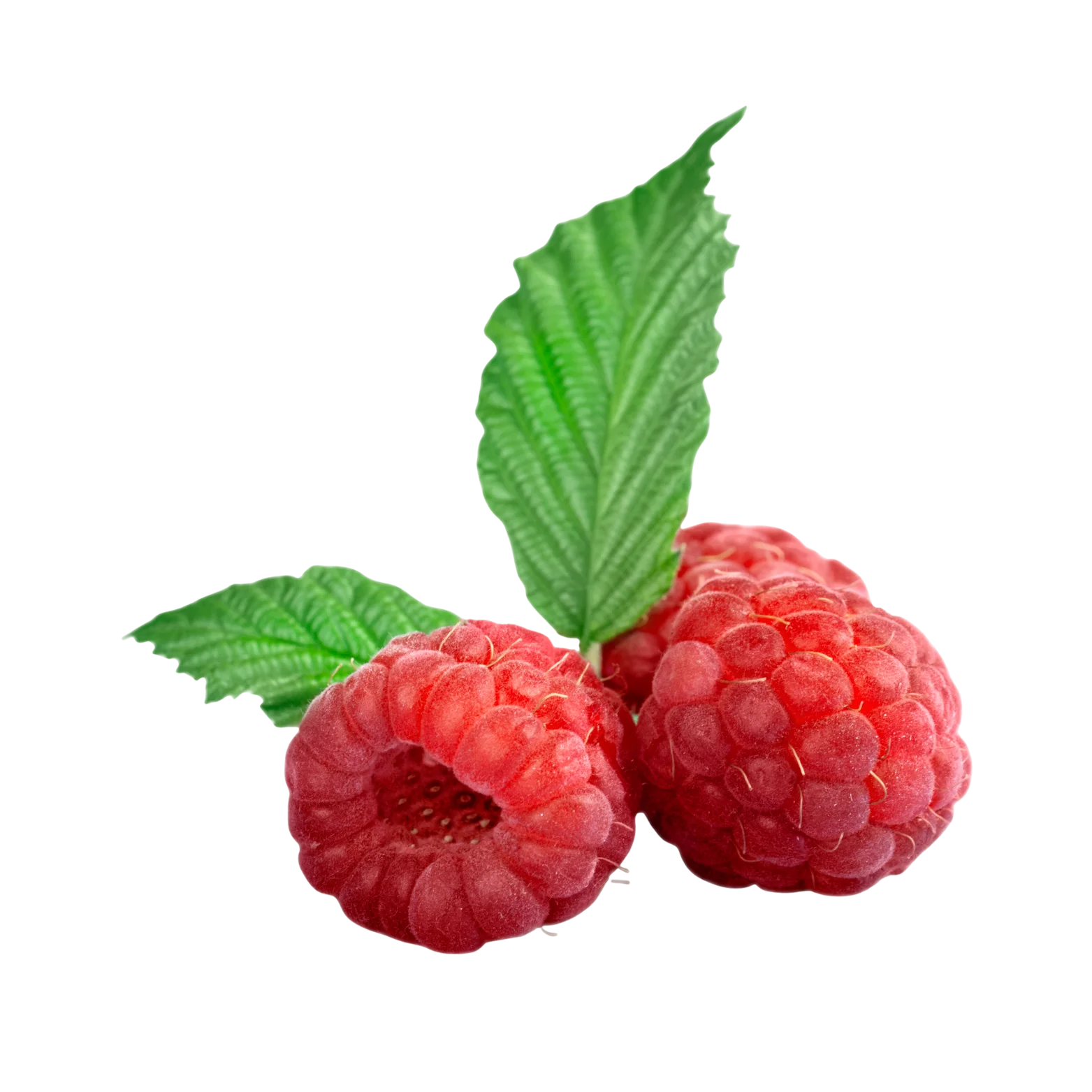 Raspberry Jam