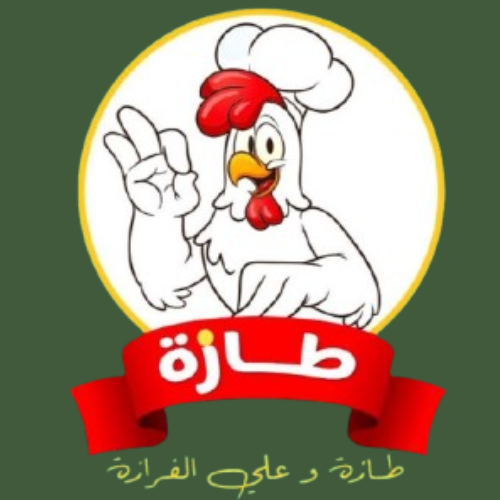 مشروع 1
