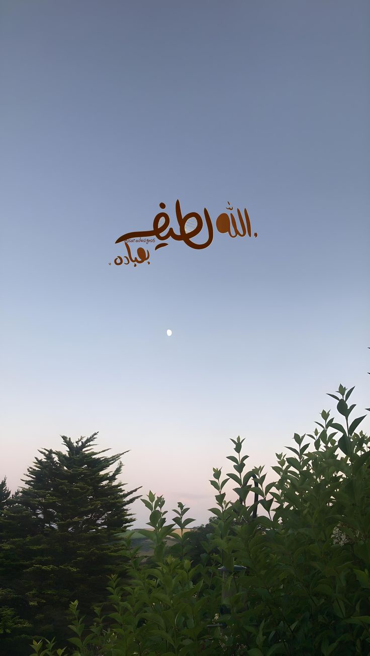 محمد - التجمع