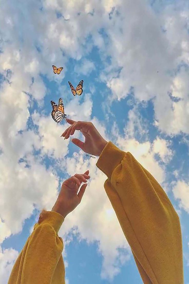 فاطمة السيد