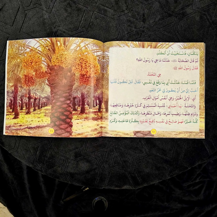 سلسلة عظماء حول الرسول