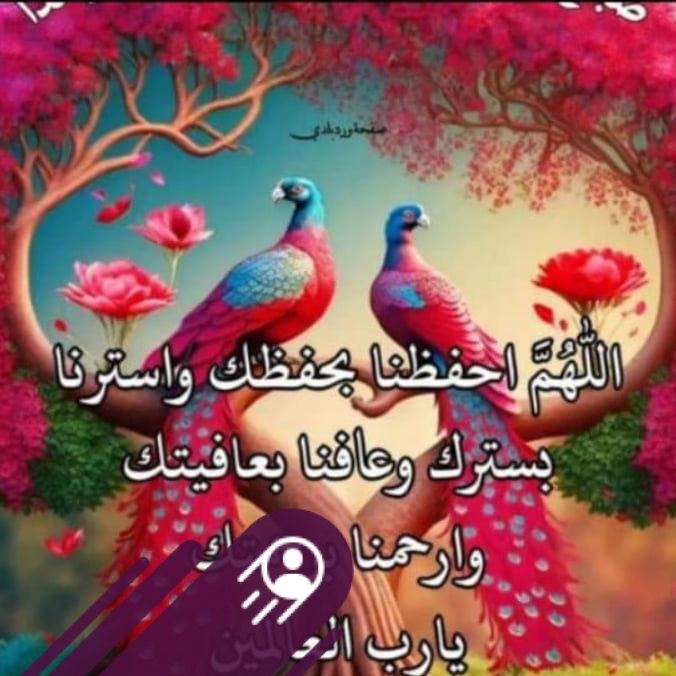 Ramadn Qpqp