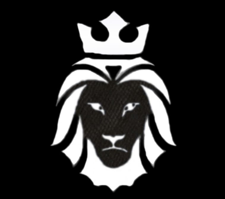 الاسد شوز