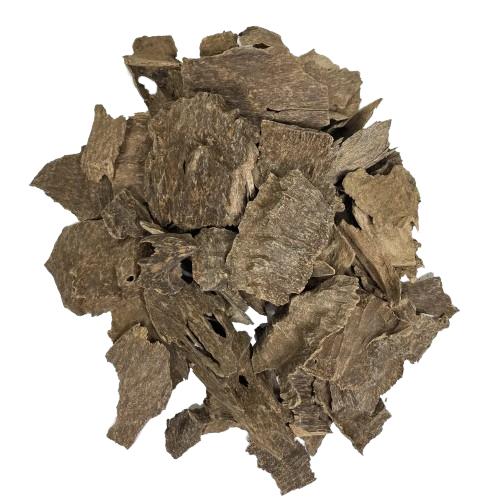 عود الجار الهندي الطبيعي – Premium Indian Jar Oud سعة (5 تولات)