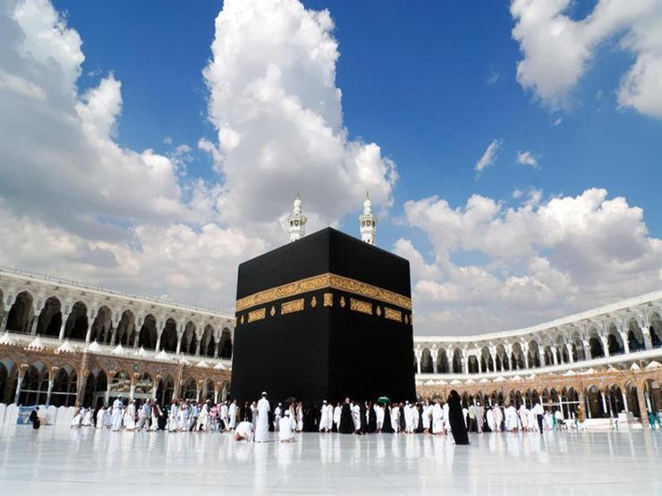 رنا فؤاد