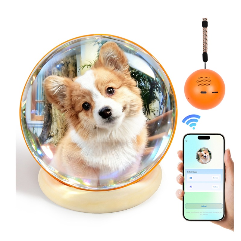 نقل المحتوى