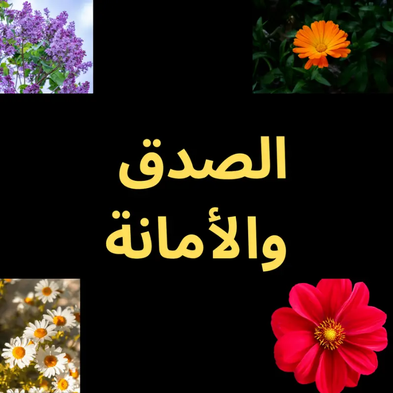 هذا ما يميزنا عن غيرنا بفضل الله، والدليل الآتى