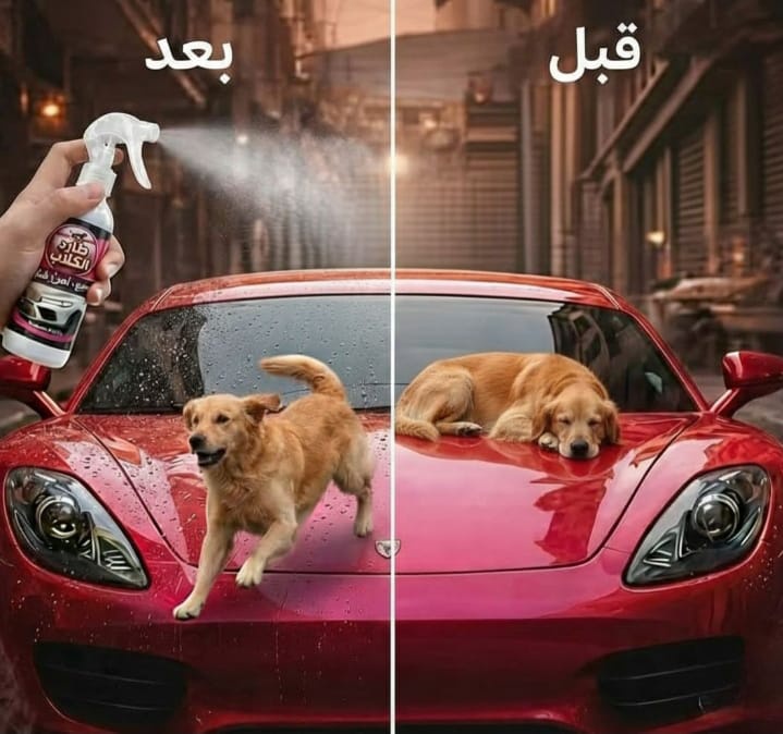مافيش كلب هيقدر يقرب من عربيتك تاني