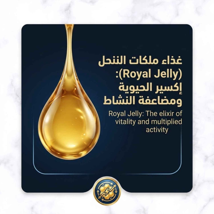 غذاء ملكات النحل .. إكسير الحيوية ومضاعفة النشاط
