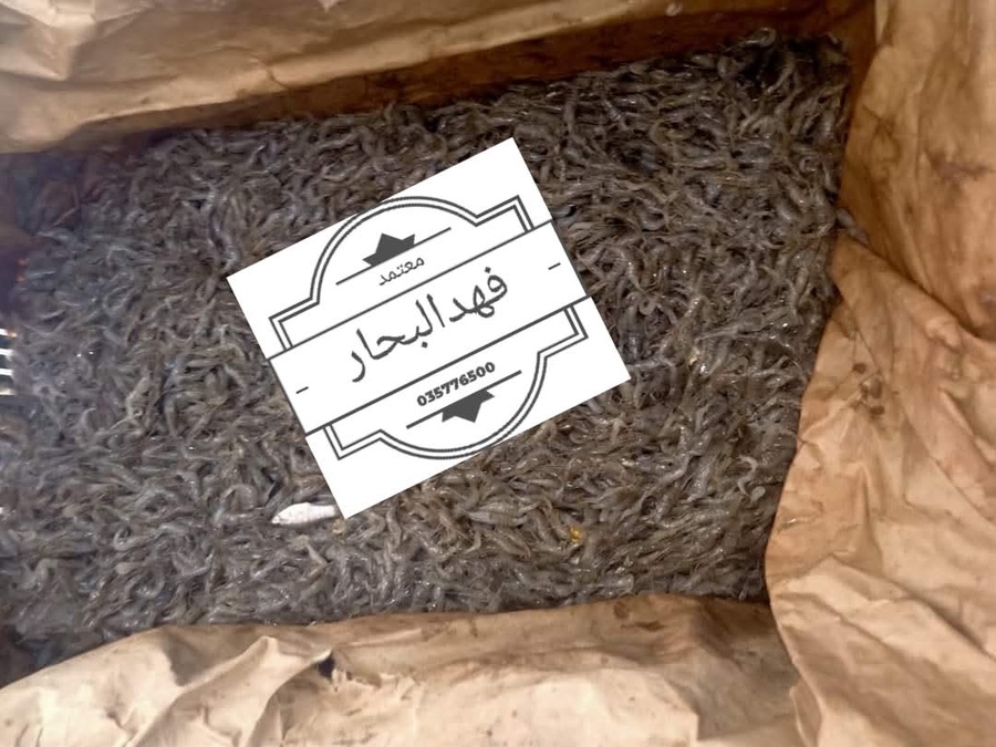 برغوت 