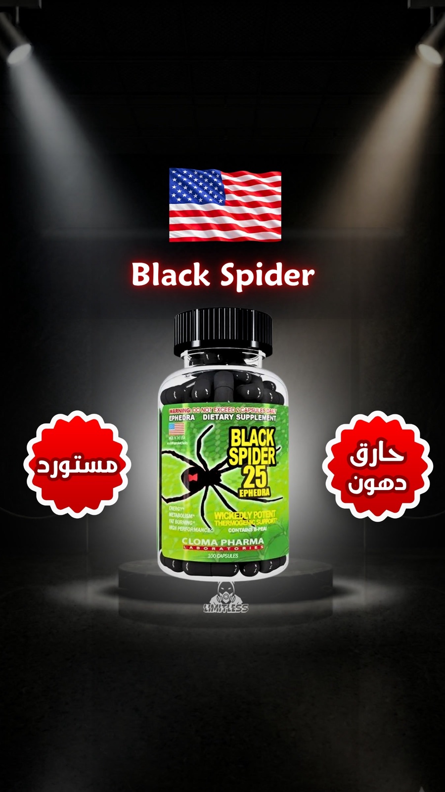 Black Spider