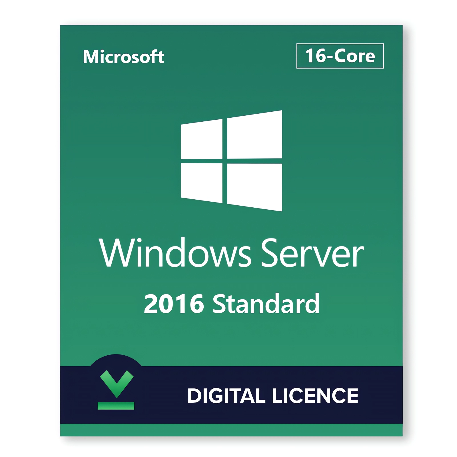 https://files.easy-orders.net/1779283504685439129.webp