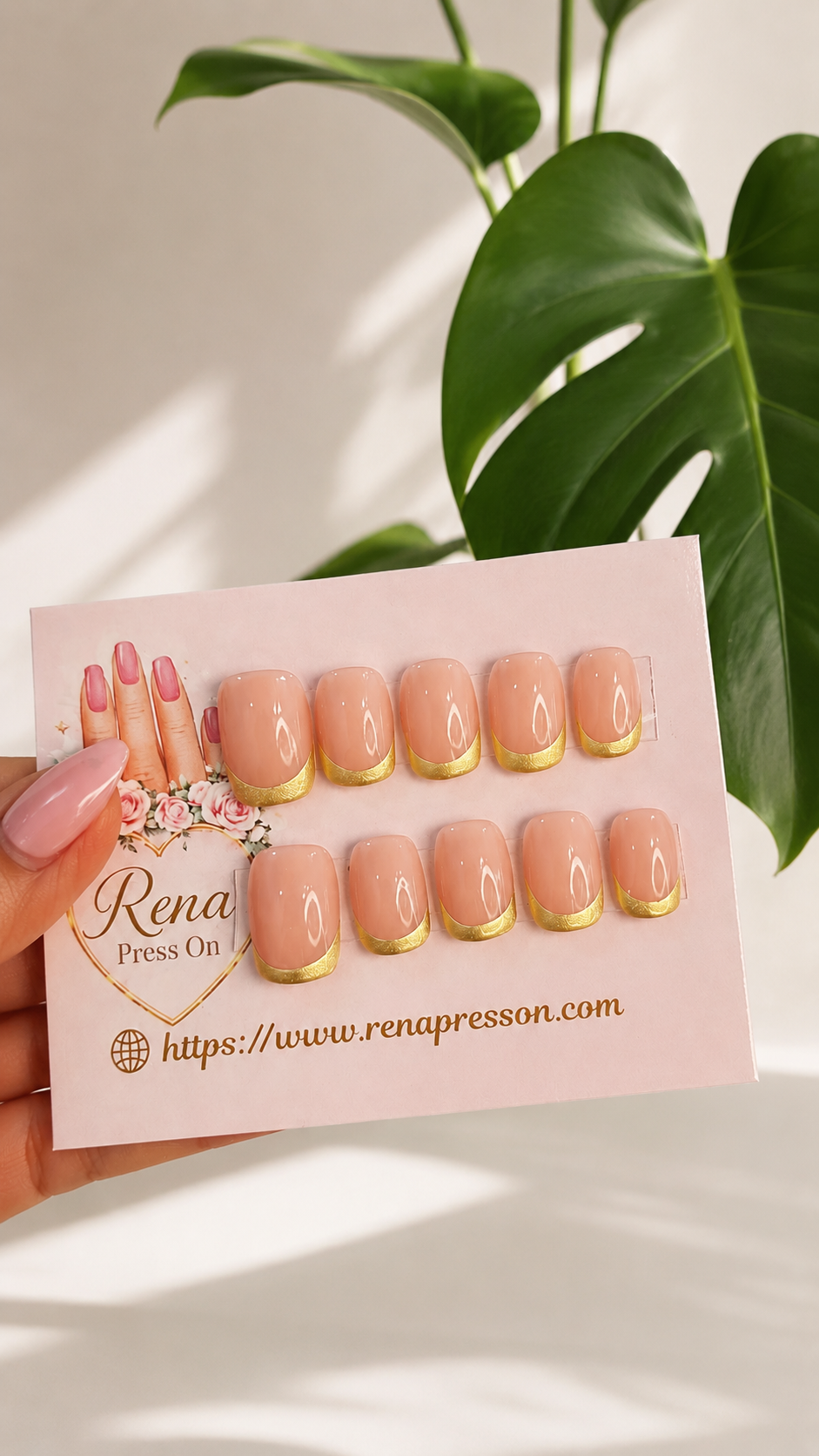 Ivory Blush